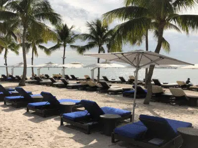 Outdoor Beach Umbrellas